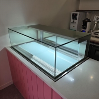 초콜릿 쇼케이…